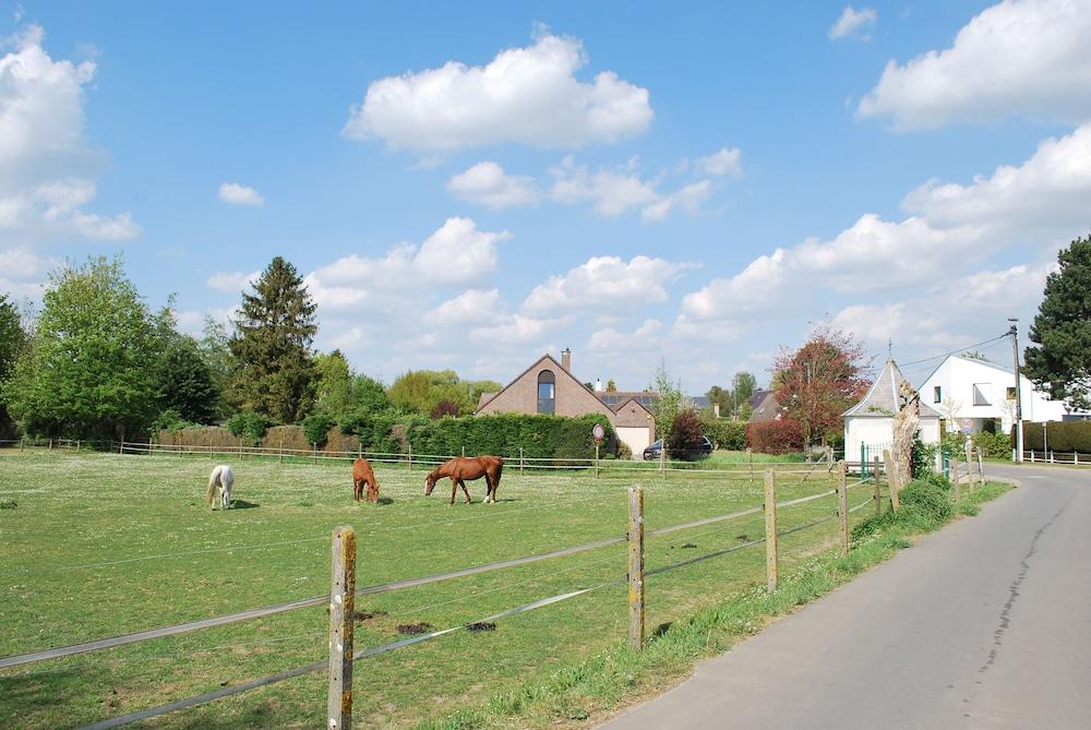 دايمينشانز إم المنطقة الخارجية