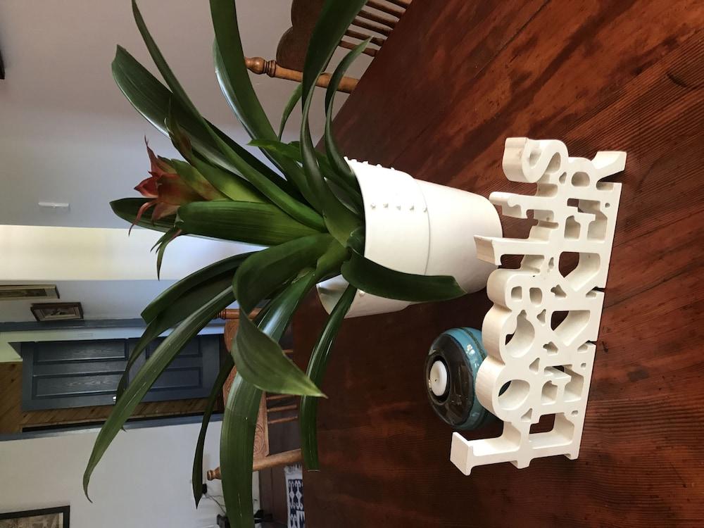 Goedvertrou Guest Farm Interior Detail