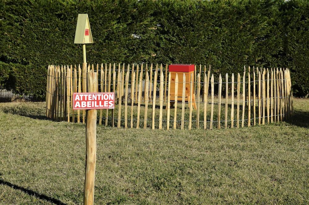 ميركيور ليون إيست تشابوني المنطقة الخارجية