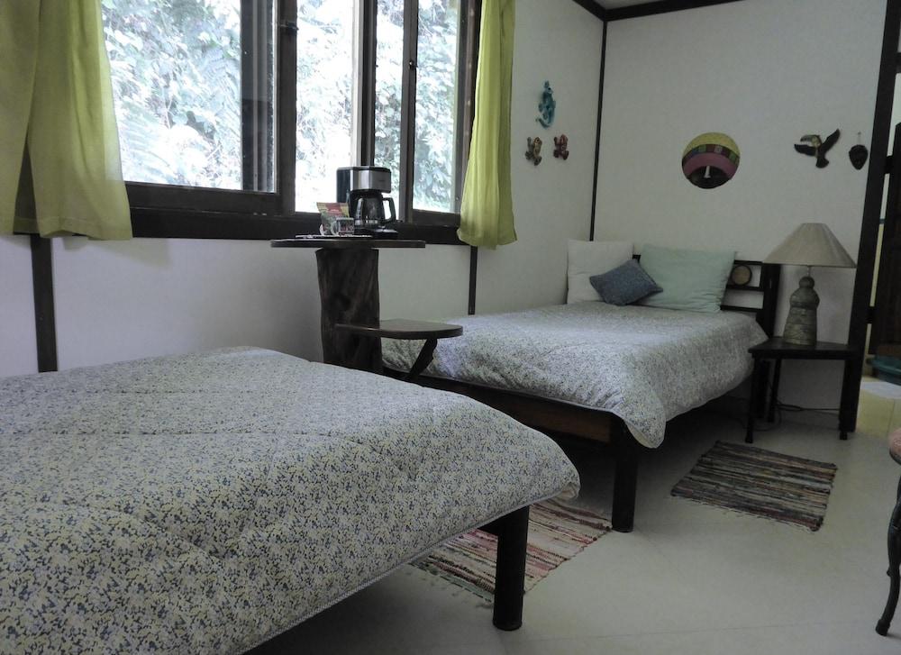 Lucky Bug B & B Room