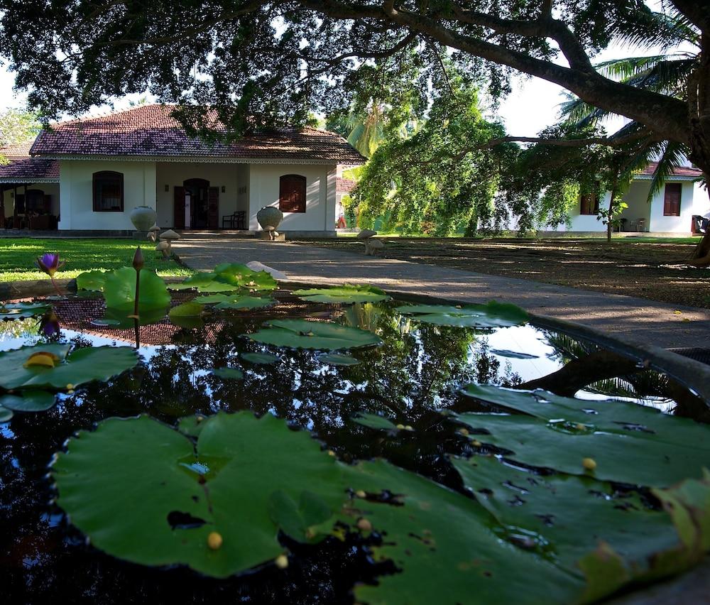 Villa Modarawaththa Property Grounds