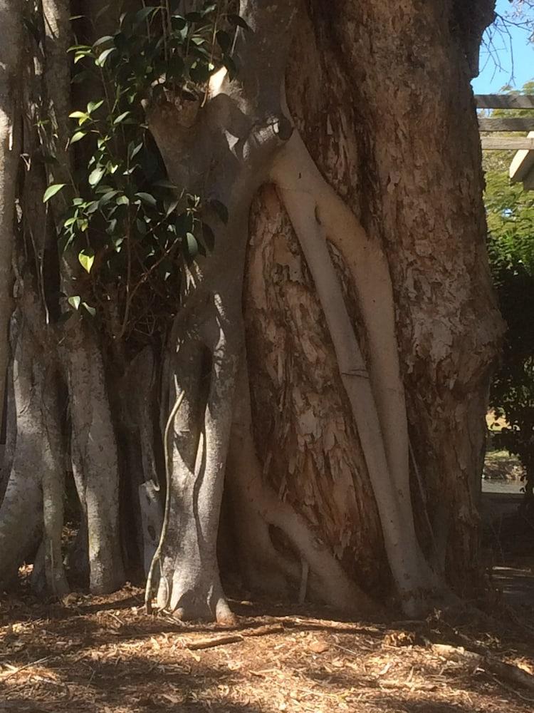 سانكتشوري ليكس فيونا ريتريت المنطقة المحيطة بالمنشأة