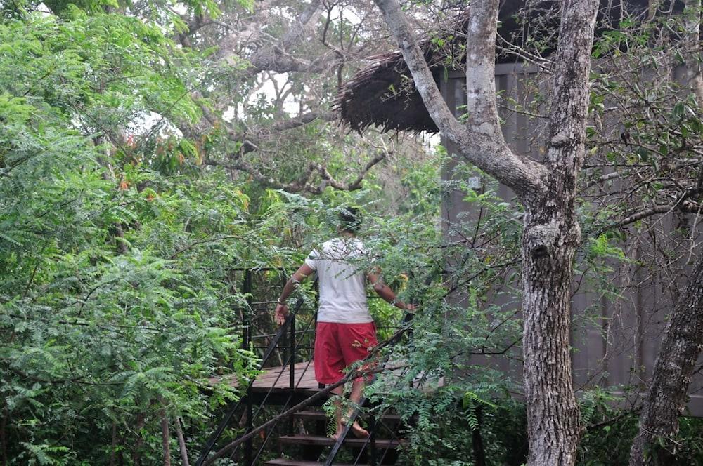 The Backwaters Property Grounds