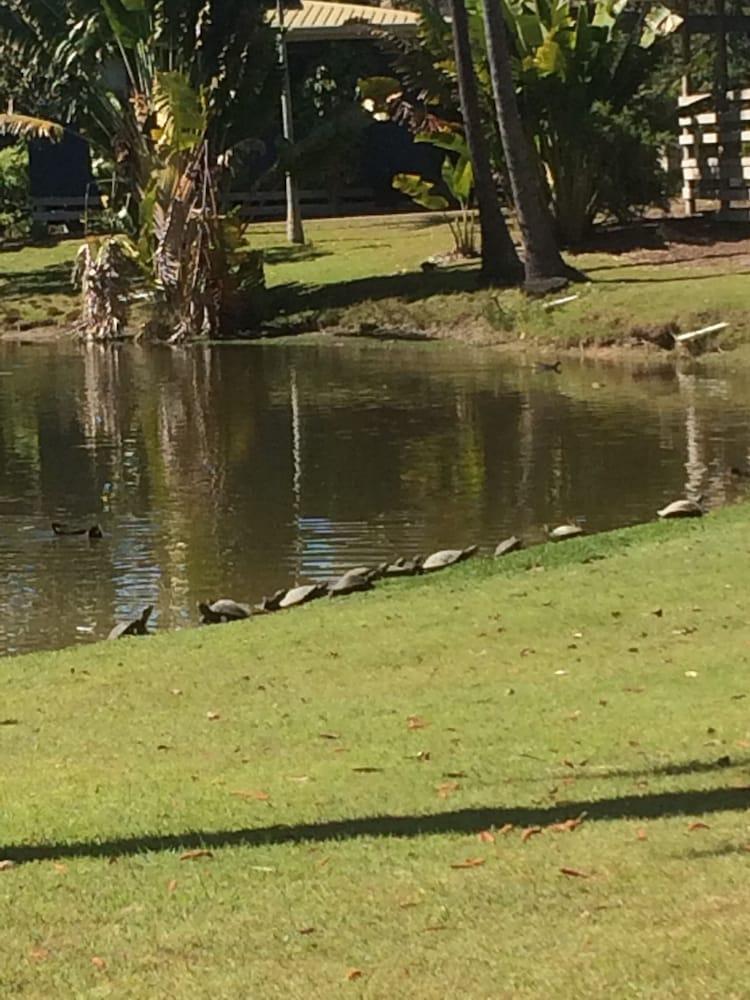 سانكتشوري ليكس فيونا ريتريت المنطقة الخارجية