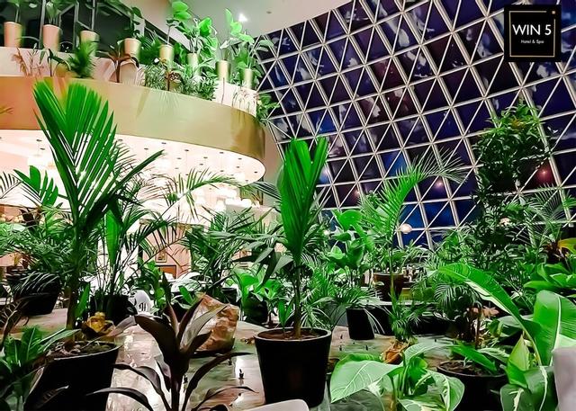 وين 5 هوتلز آند سبا