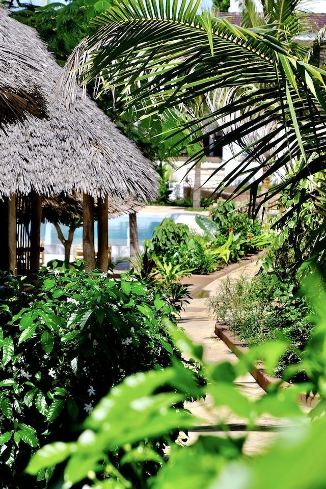 نيومباني ريزيدانس أبارتمنتس