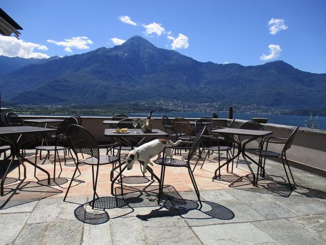 Villa Très Jolie