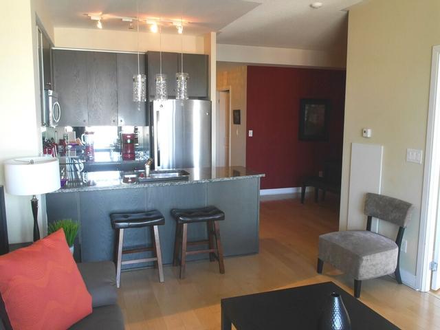 Amazing 1BR Condo in Yorkville